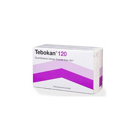 Tebokan intens 120 Mg 30 Tablets ingredient ginkgo biloba extract