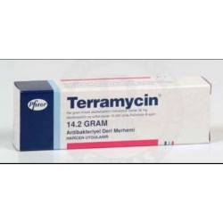 Terramycin Skin Ointment 14.2 G