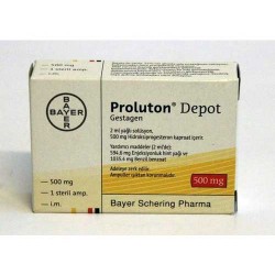 Proluton Depot 500 MG/2ML 1 Vial